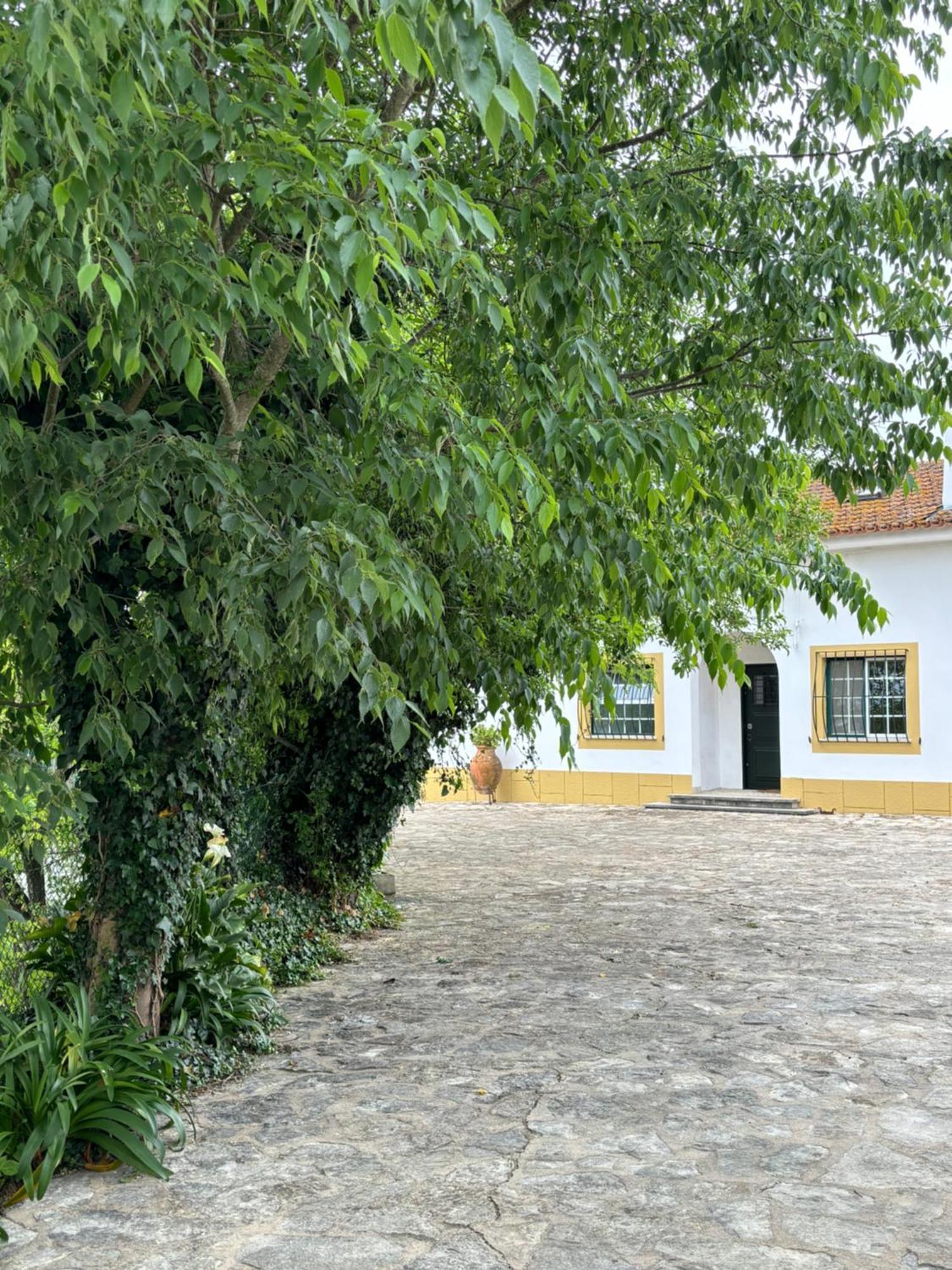 Villa Casa Da Nogueira Tomar Exterior foto